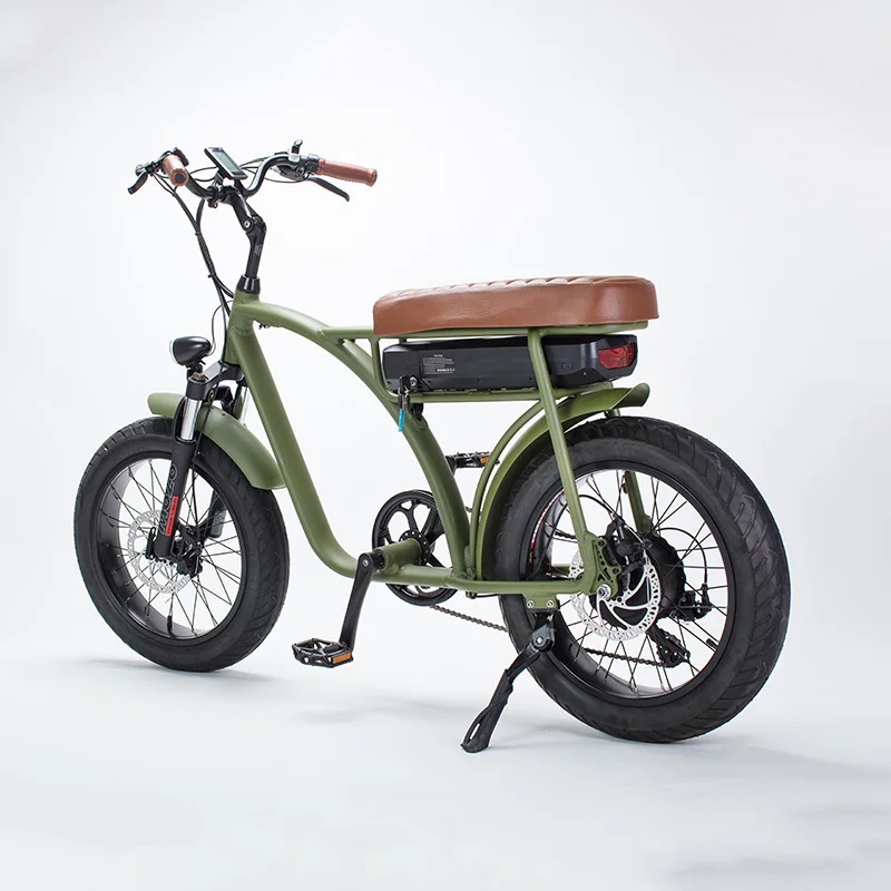 Wholesale Hot Sale Fat Tire Electric Bike 7 Speeds E Bike 20Inch 750W Large Power 12Ah Portable Long Seat Electric Bicycle