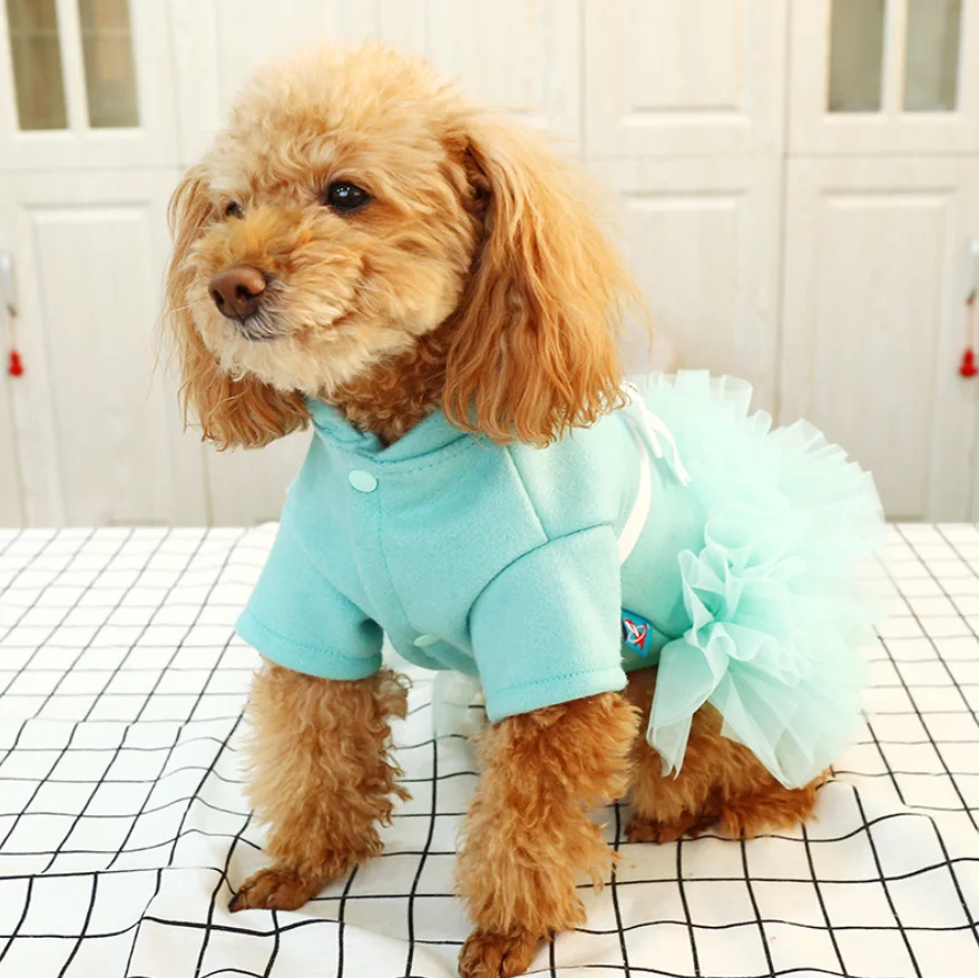 Warm Pet Clothes Wholesale Blue Cute Net Yarn Princess Dog Dress Brand Designer