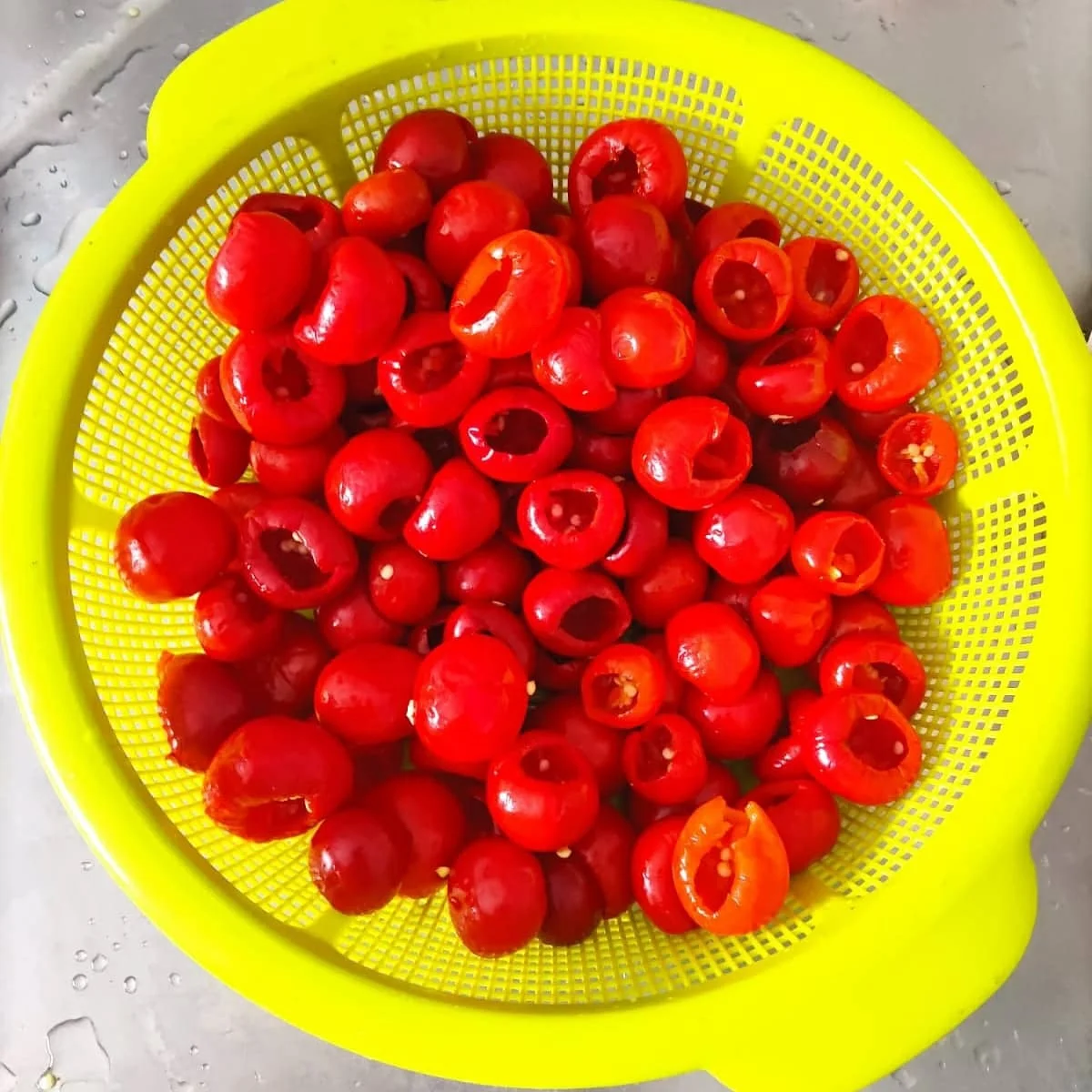 Finest Superior Quality Tasty Vegetable Peppers Stuffed With Tuna With Olive Oil Perfect and Delicius Dishes