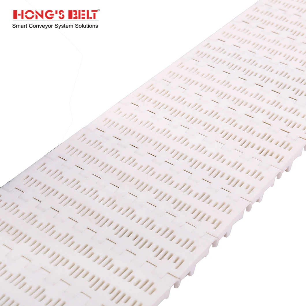 Hongsbelt HS-100B-HD Curved Modular Conveyor Chain Belt Modular Belt For Food Grade
