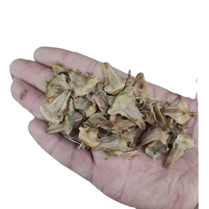 Высококачественные простые посадки семян сосны