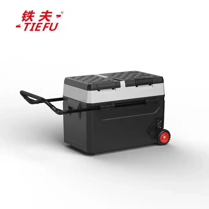 12v Dc Mini Refrigerators Manufacturer Fridges And Deep Freezers Camping Portable Mini Fridge