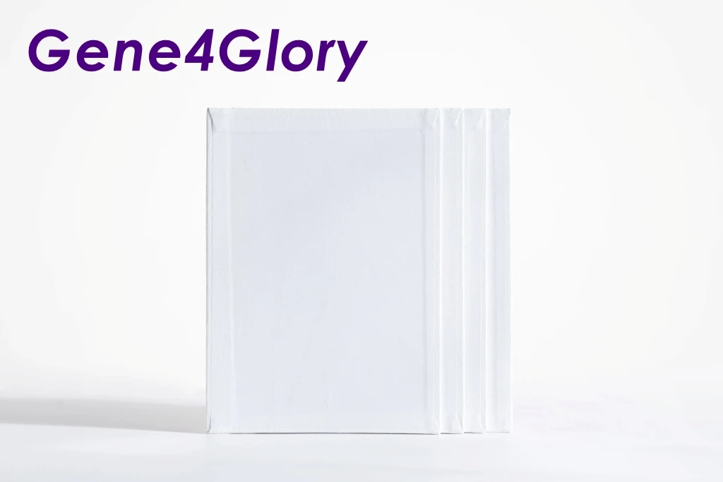 
Custom pre printed stretched wood canvas & painting set 