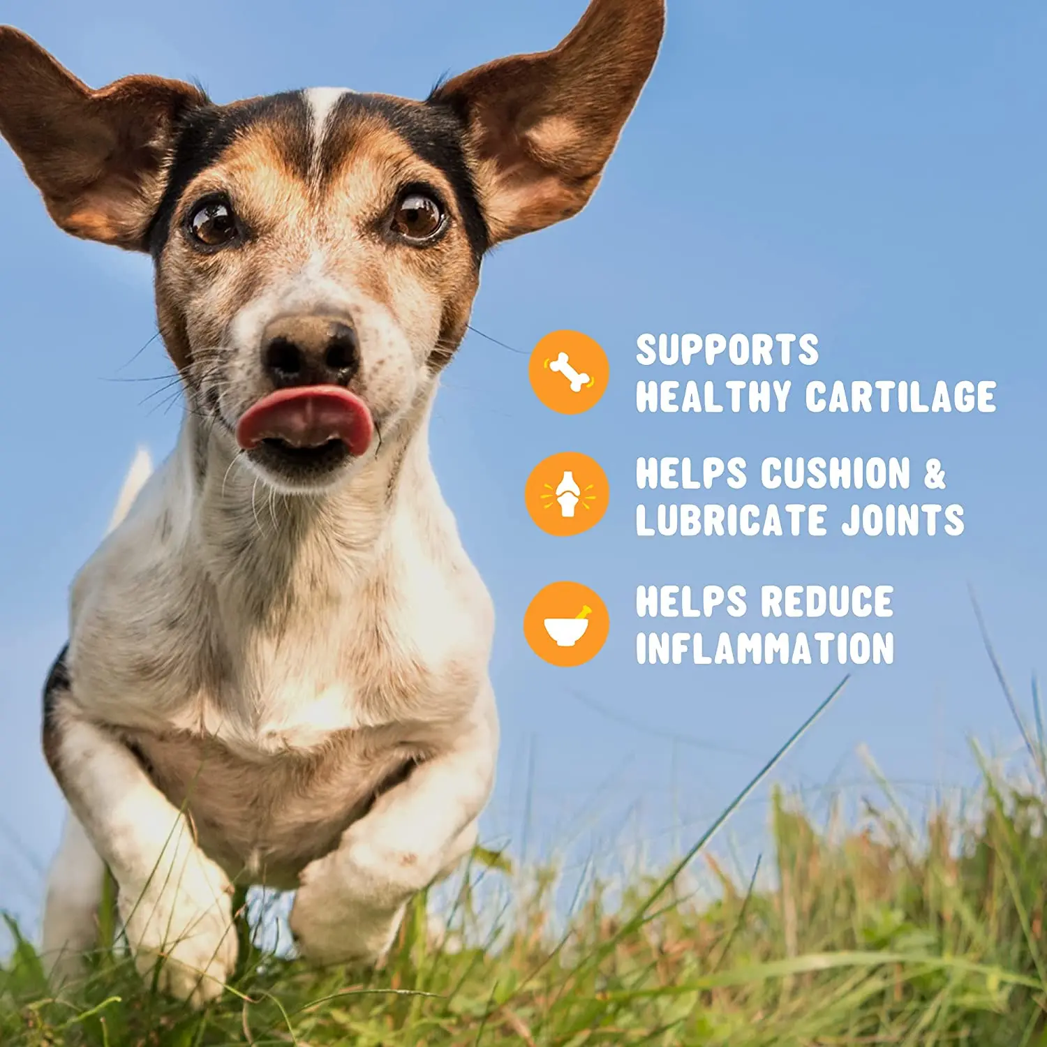 Glucosamine for Dogs Soft Chews - Hip and Joint Supplement for Dogs with Chondroitin, Turmeric & MSM