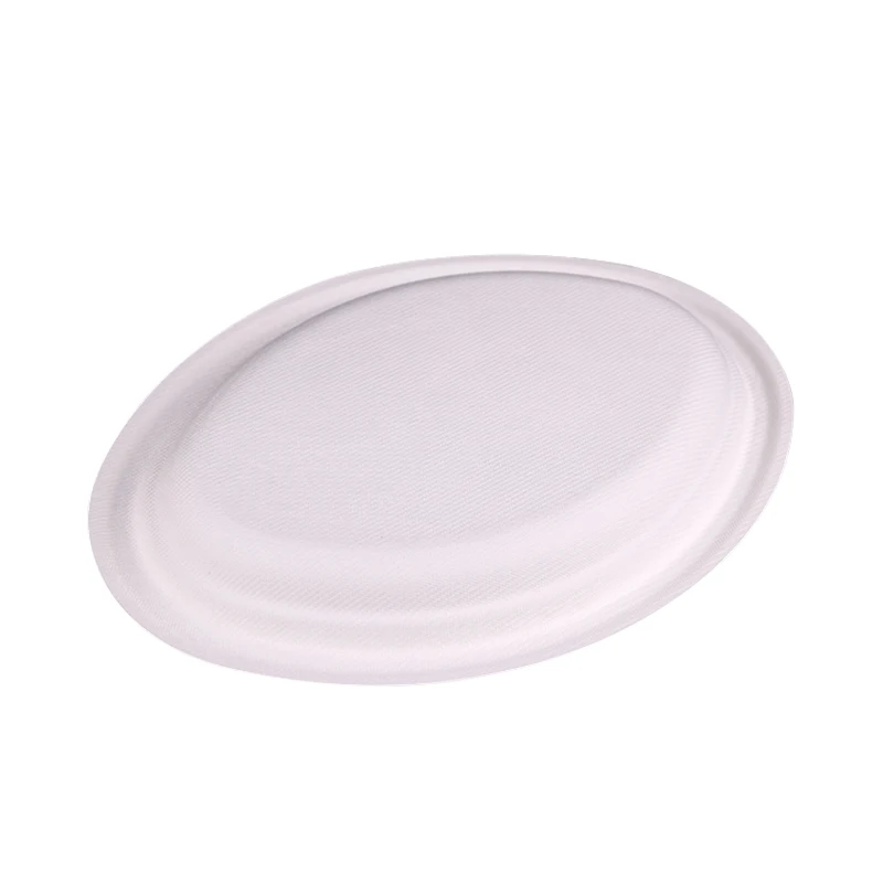 Bio Compostable Degradable Tableware Disposable Sugarcane Bassage Paper Pulp Plate