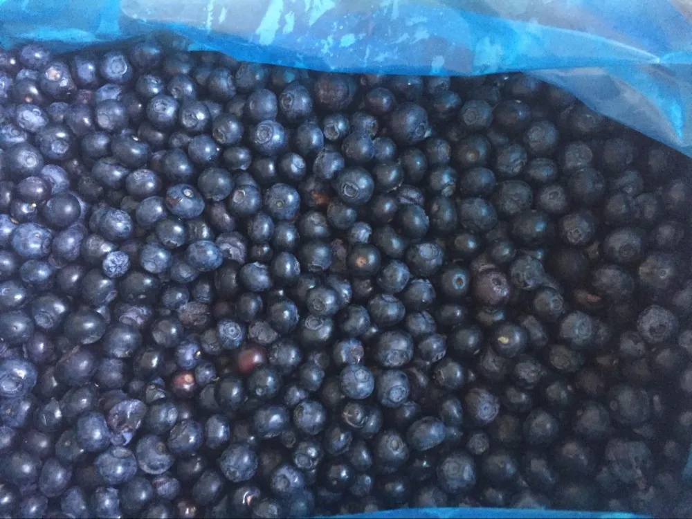 HACCP китайская iqf клубника Китай экспортная оптовая продажа IQF Замороженная черника