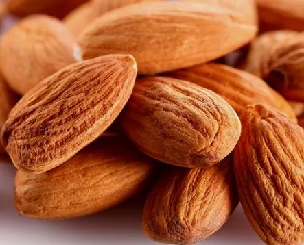 
 Эффективное противовоспалительное средство для улучшения пищеварения от кашля по лучшей цене, экстракт семян Горького абрикоса  