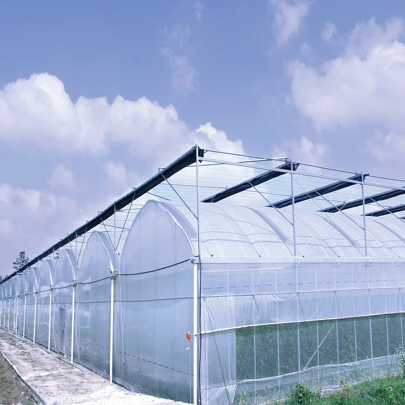 Factory wholesale plastic film for  agricultural greenhouse film 200 micron high light transmittance greenhouse film roll