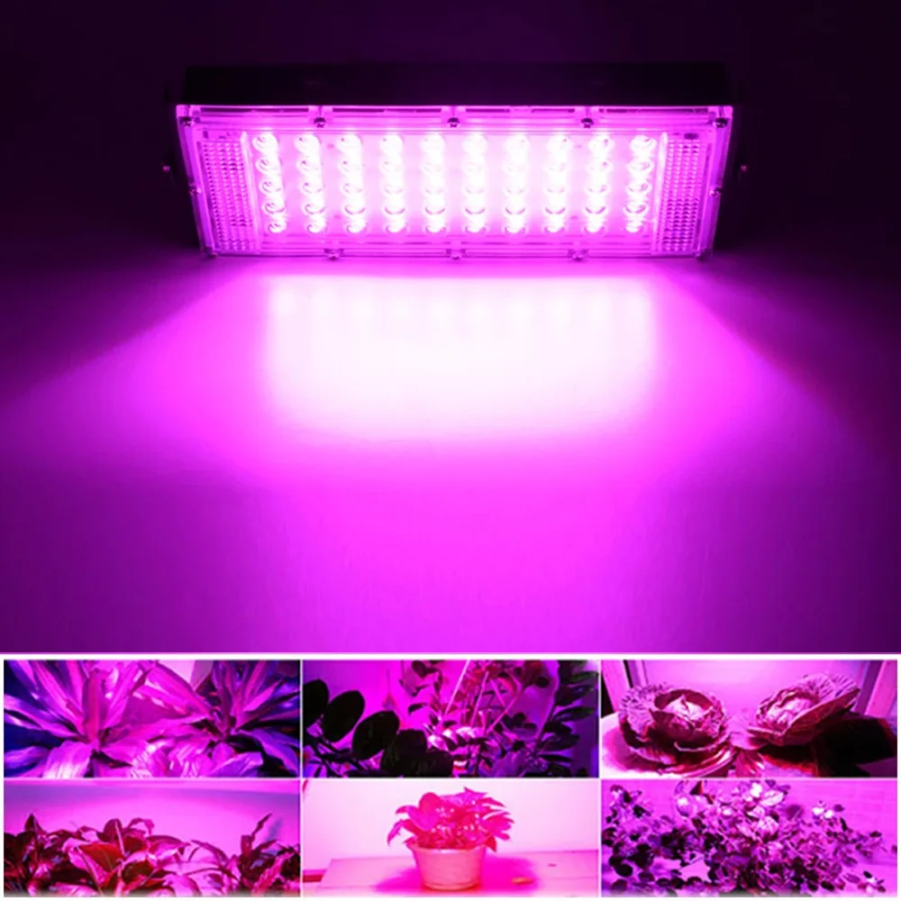 wholesale 220V 110V 50W 100W 200W LED Spotlight for plant growth greenhouse aquarium full spectrum indoor led plant grow light