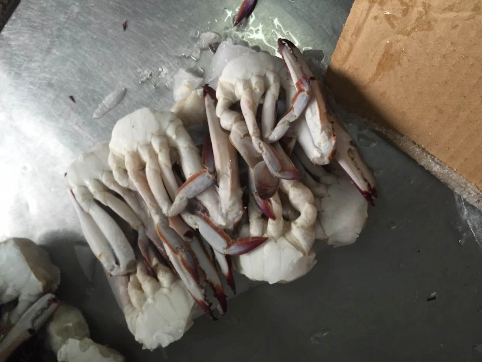 Frozen Halfcut Crab - Korea Market - Factory Partner - Custom