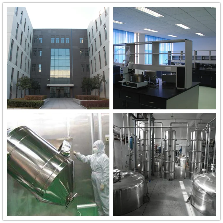 
High Quality Natural Herbal Supplement Sakae Naa Extract 