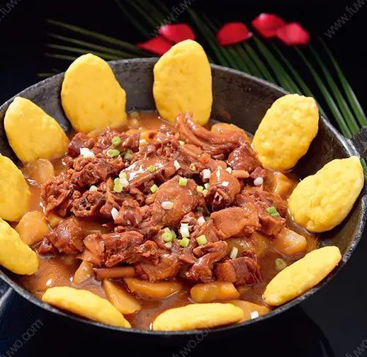 Enameled Rectangle Cast Iron Bakeware Roasting Pan Roaster Dish Baking Dish