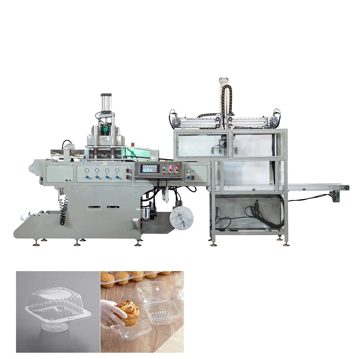 DB-54/76 Full automatic 1-Compartment Clear OPS Plastic Cupcake Container thermoforming machine