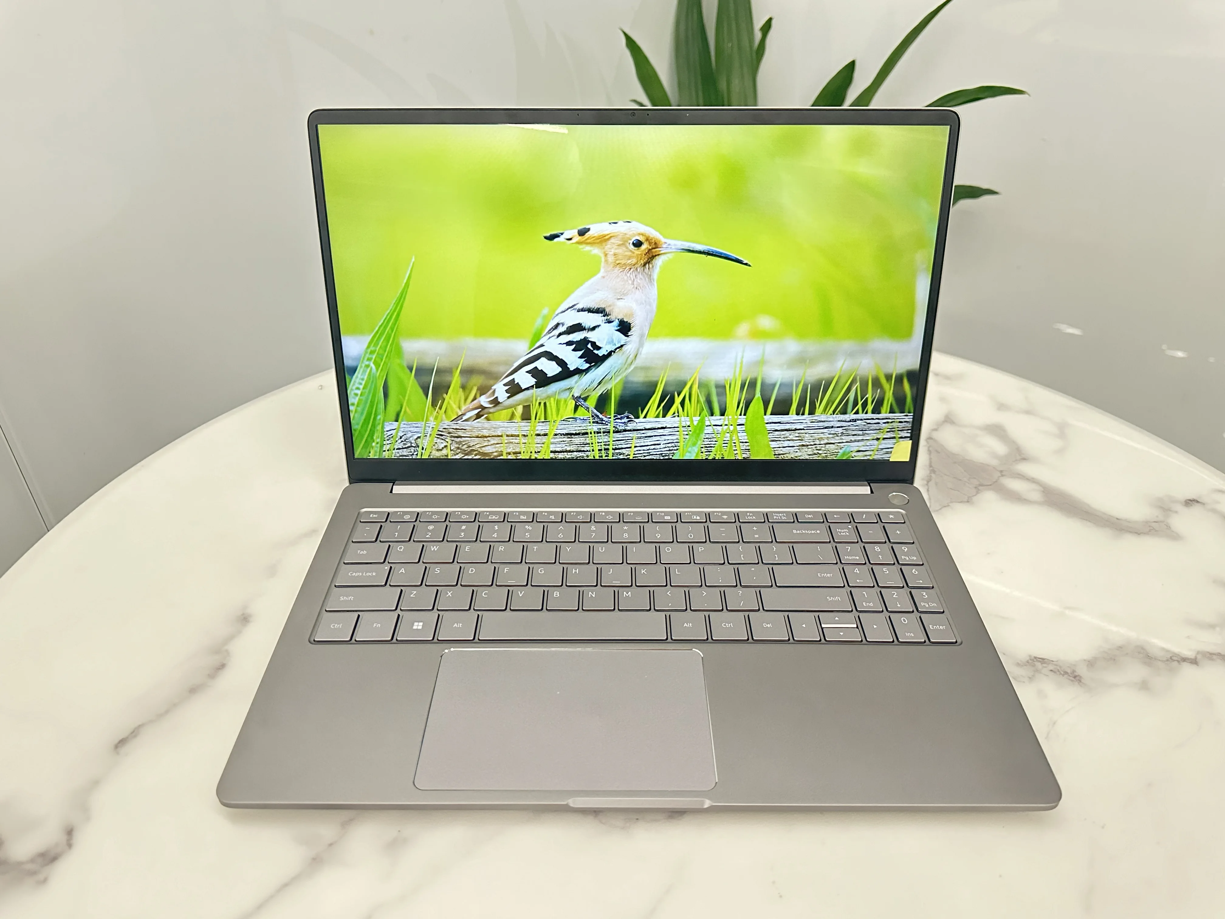 2025 New Arrival AMD Ryzen 9-6900HX Gaming Laptop 15.6 Inch Big Screen DDR5 64GB RAM Metal Case For Gaming Home Business