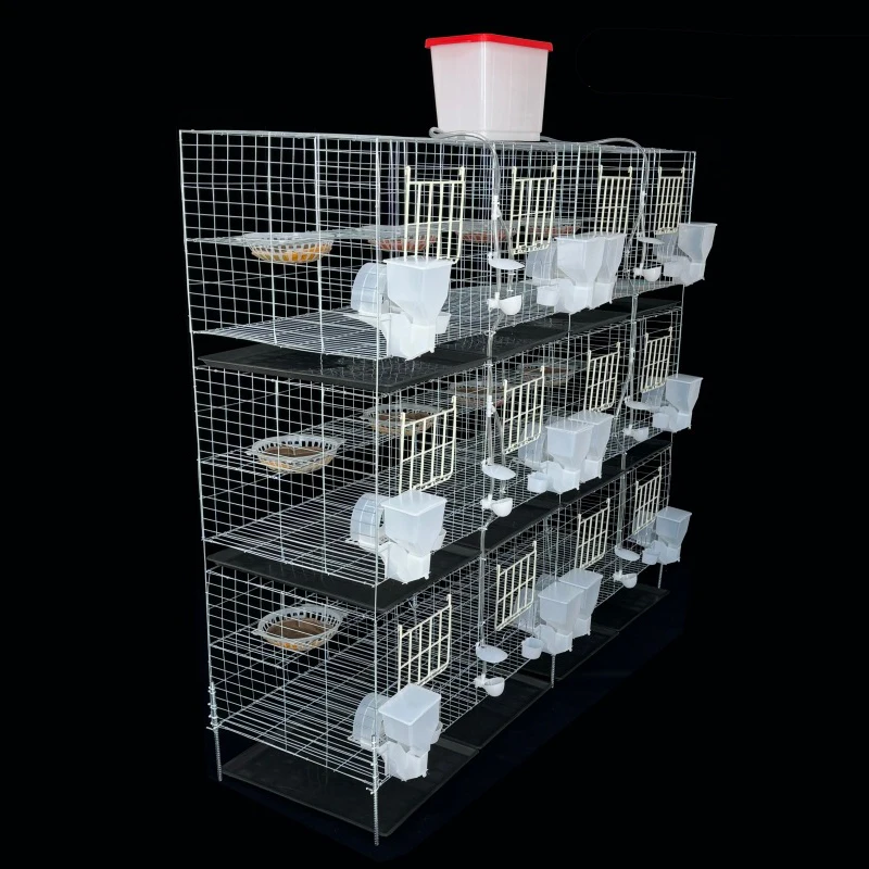 Best selling poultry farm equipment quail farming cage
