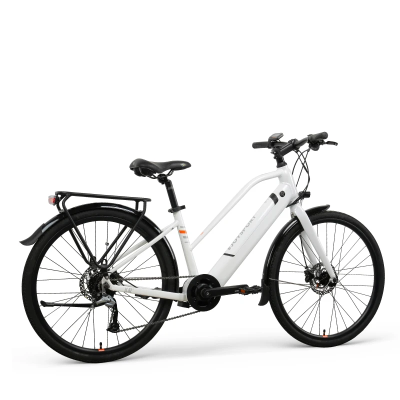 LC02 New model OEM brand e-bikes mid drive 180w cheap mountain electric bike