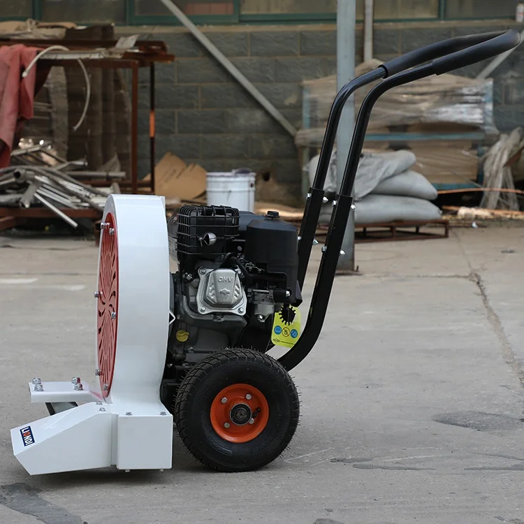 Petrol Road Blower