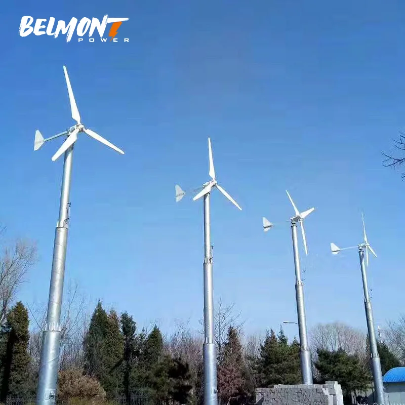 Horizontal Axis 2000w 2500w 3000w home wind turbine generator with controller inverter battery