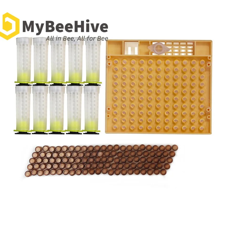 Bee queen rearing tools bee queen cell cup