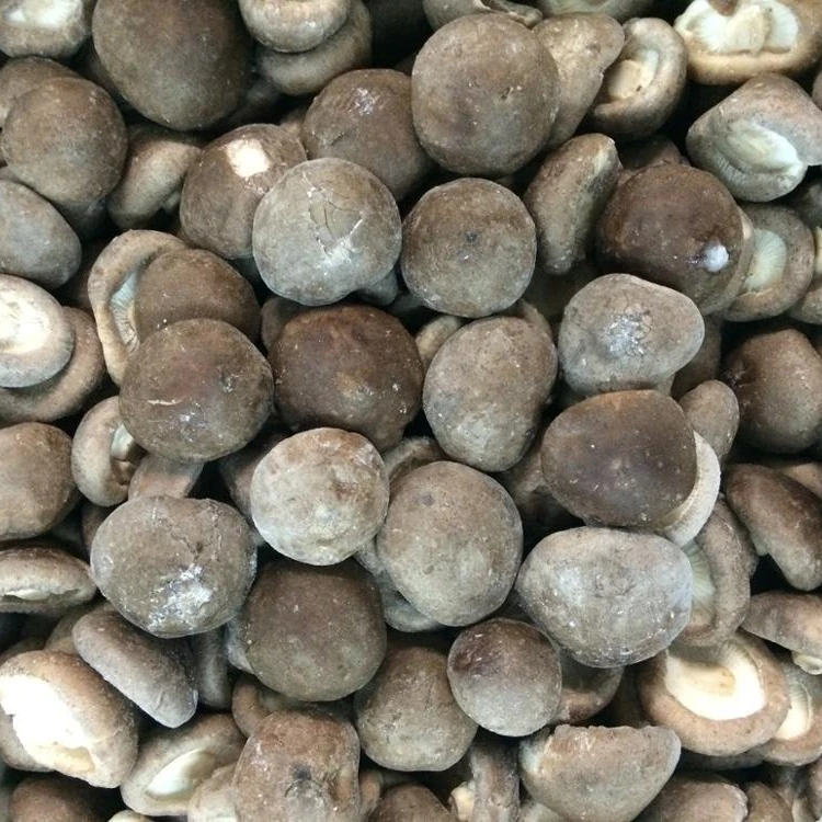 
Cheap IQF frozen shiitake 