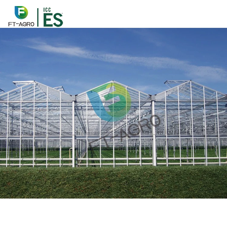 Modern style Multispan Glass Agricultural Greenhouse for Strawberry / Grape / Raspberry
