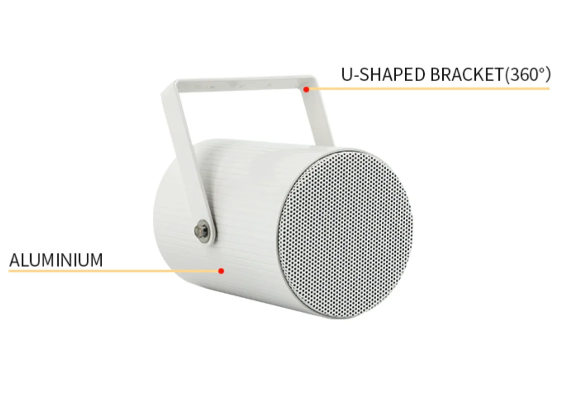Factory Single Direction Projection Speaker Professional Speaker Loudspeaker PA System for Home Restaurant Office Installation