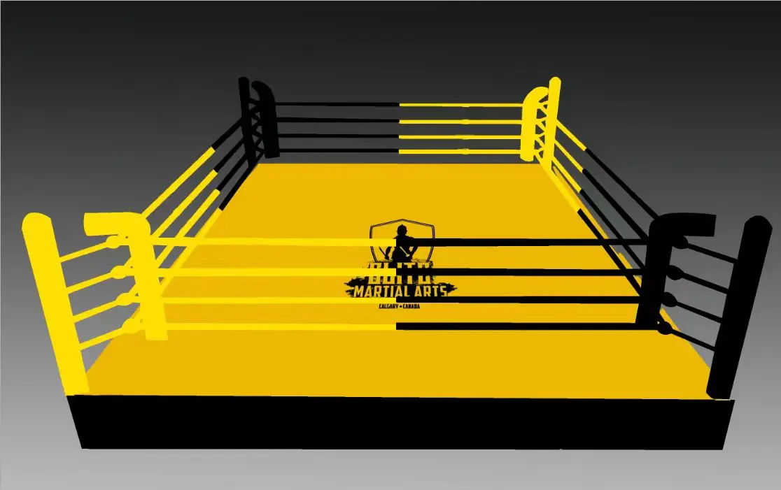 international standard mma boxing ring flooring  high type wrestling ring boxing rings 7m*7m accessories for sale