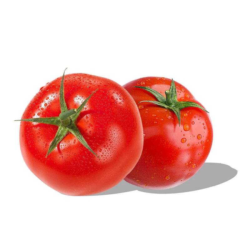 High Quality Good Price Gourmet Tomatoes Top-Quality Bulk Tomatoes For Export