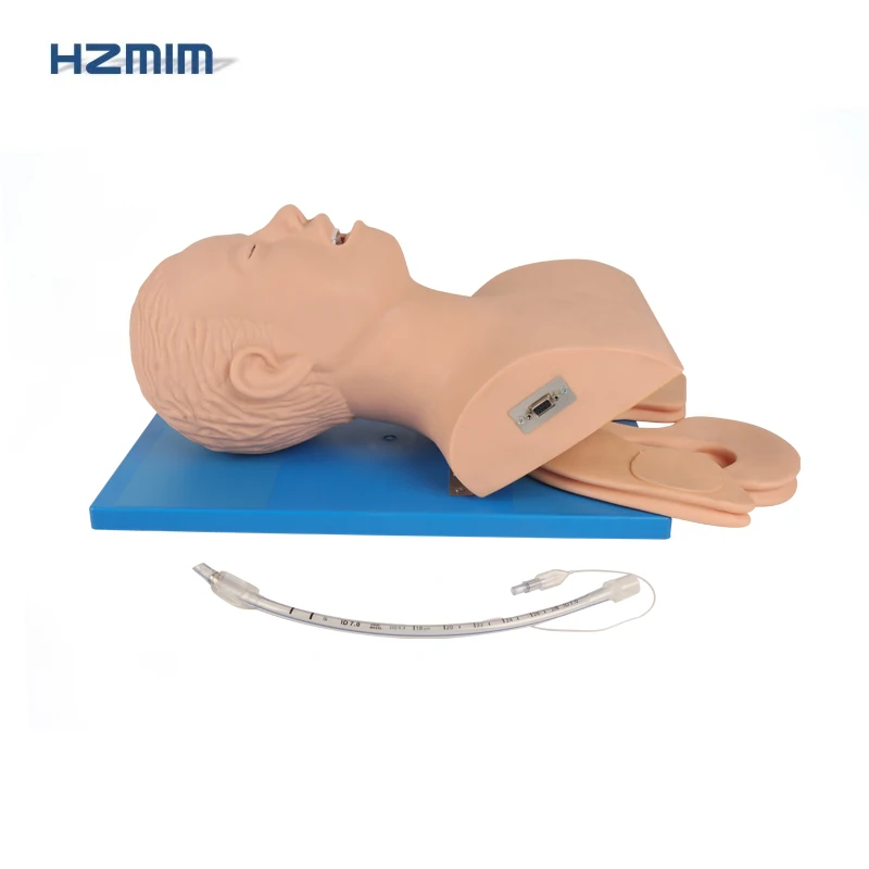 Adult Airway Trachea Intubation Model Adult Airway Intubation Manikin Endotracheal Intubation Training Model