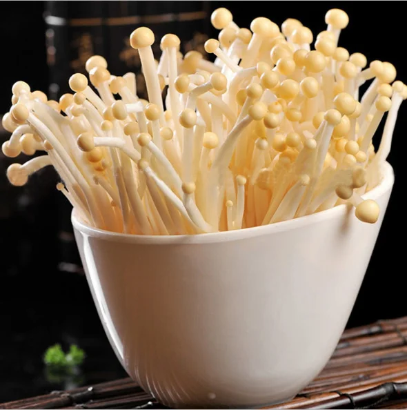Hot Sale fresh delicious  raw Golden Enoki
