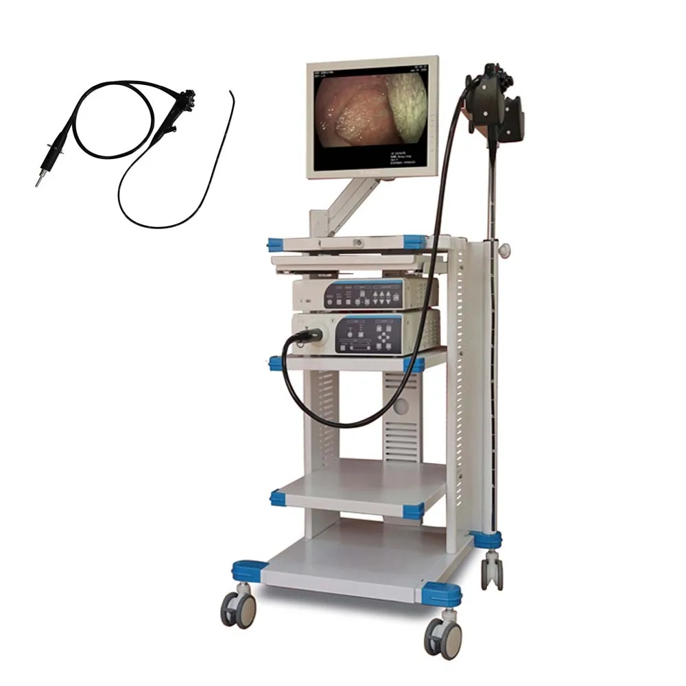 Factory Price Medical Endoscope Camera Gastroscope And Colonoscope Equipment Diagnostic Endoscope Unit