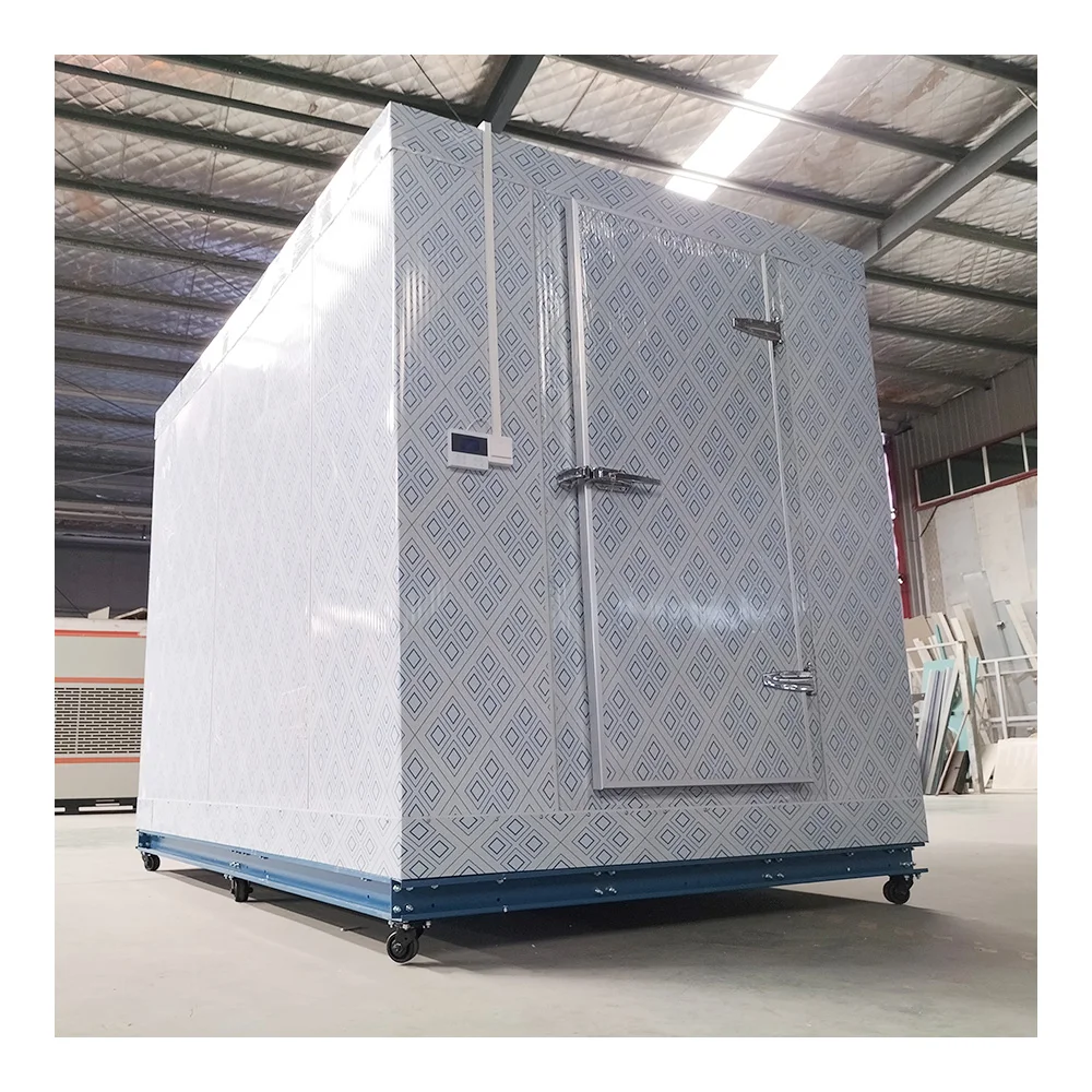 Freezing Chambers Cold Room Storage Fast Refrigeration Containers Cold Room For Meat
