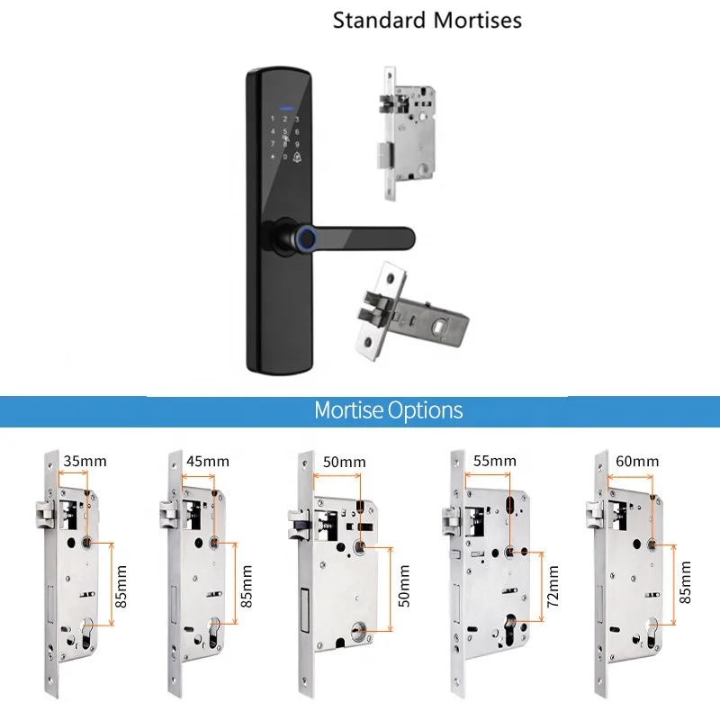OEM /ODM Manufacturer APP Biometric fingerprint handle smart door lock tuya