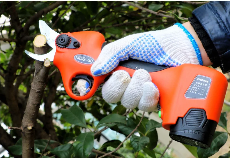 Cordless Garden Fruit Tree Pruning