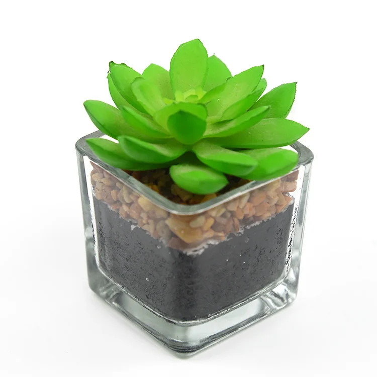 Home office decor glass transparent artificial mini succulents plants for sale