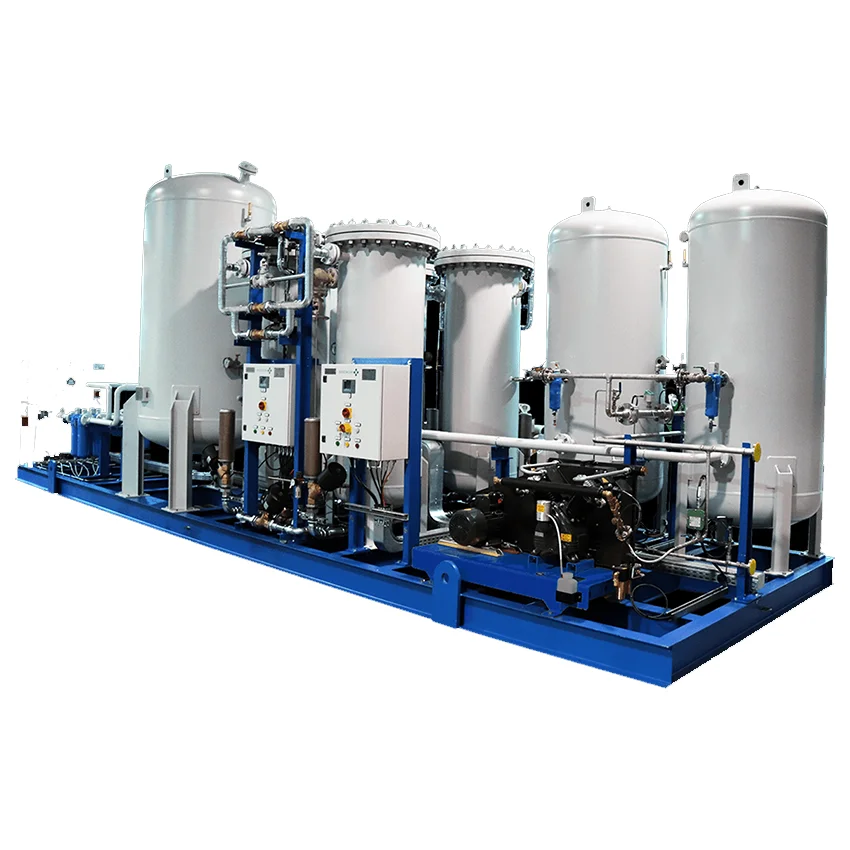 High Purity Nitrogen Gas Generator with ISO Certificate New 220V from Manufacturing Plant