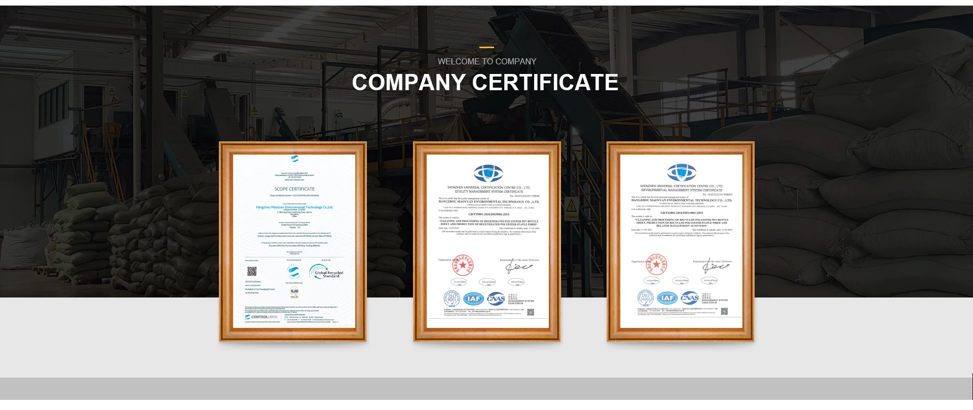 hollow conjugated hot selling high quality 15D recycled polyester staple fiber with no fluorescence