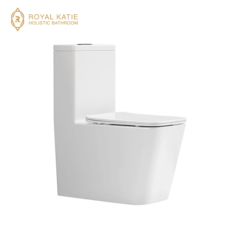 Hotel Project Modern Traditional WC  One Piece Toilet Bowl Ceramic Water Closet Bathroom Washdown Flushing Toilet