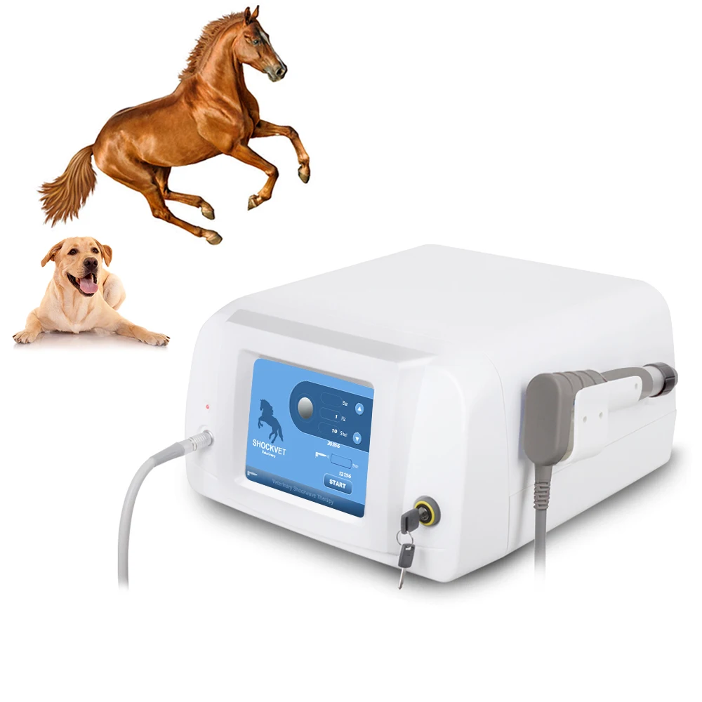 Veterinary Shockwave Therapy Equipment for Animals and Vet Clinic