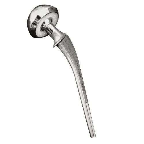 
New Bipolar Prosthesis XL Non-Fenestrated (Sterile) 