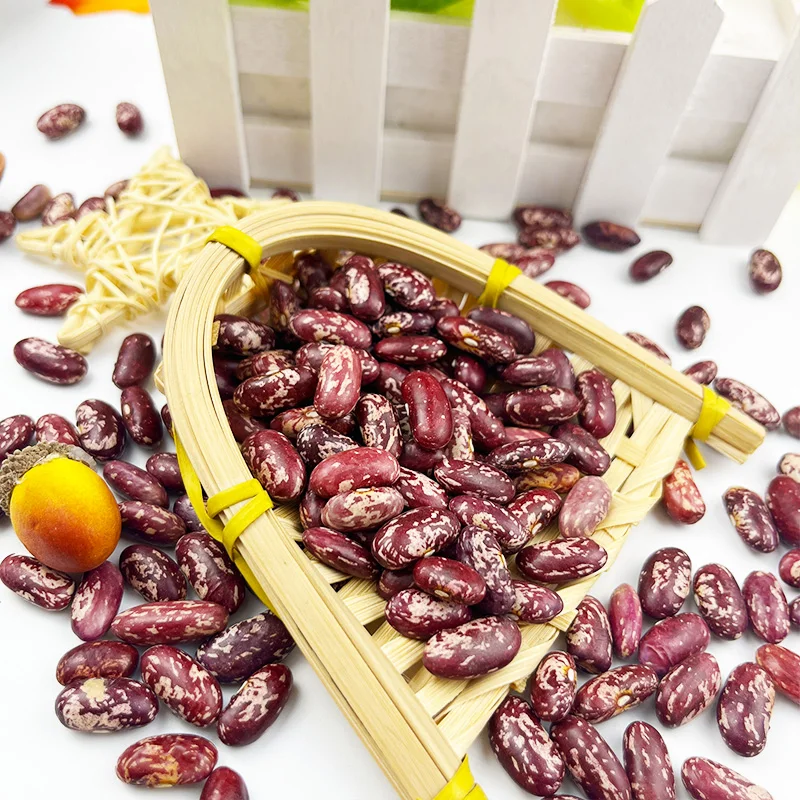 Wholesale high quality red speckled kidney bean