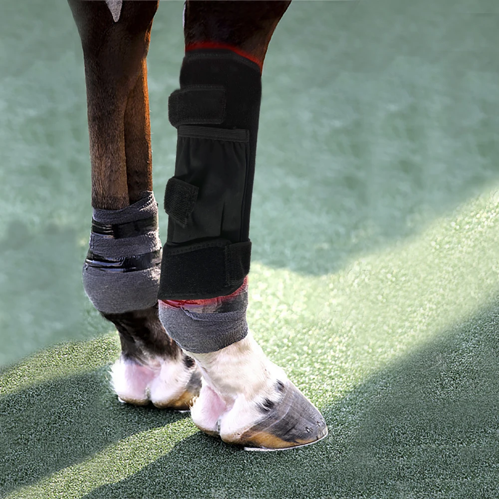 Power Bank Use Farm Horse Use Red Light Therapy Belt Outlet Feet Boot Head Back 660nm 850nm  Pulse Mode