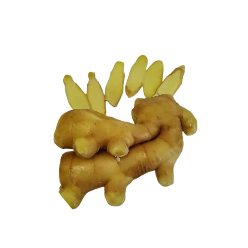 Chinese Manufacturer Earth-yellow Organic Fresh Ginger For Sale