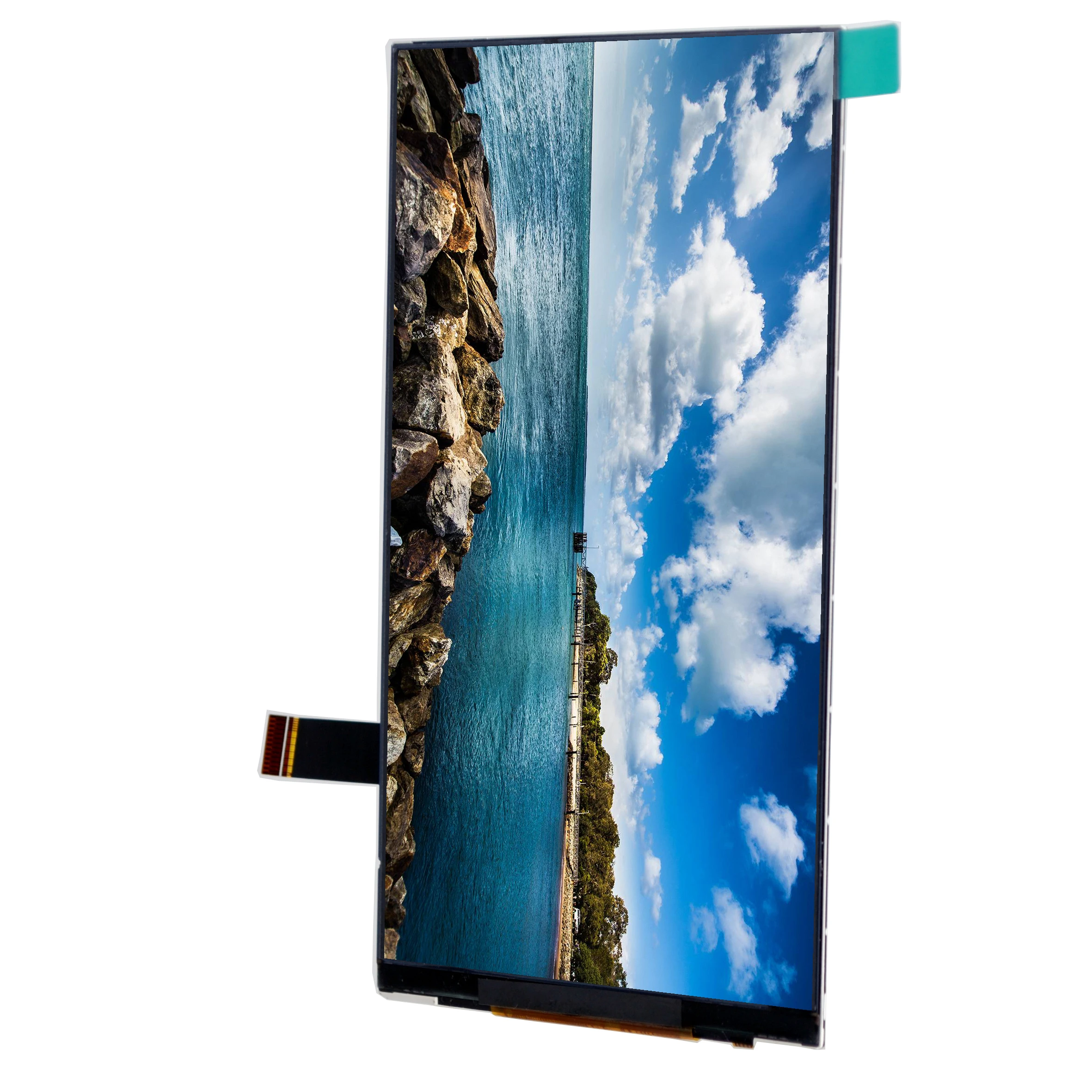 wholesale 1080*2160 6.01 Inch Oled Display Mipi Dsi Interface 500cd/m2 AMOLED Display screen