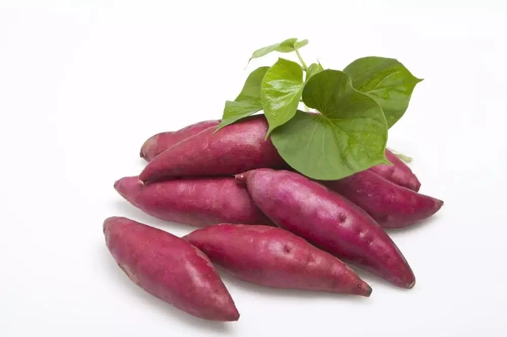 
Fresh high quality new harvest sweet potatoes 