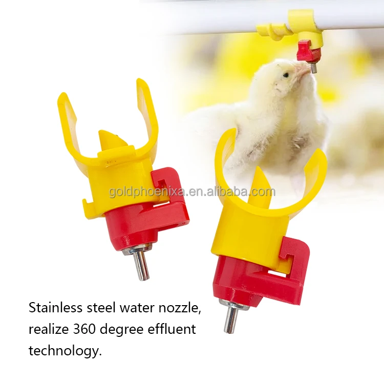 yyc Automatic Poultry Drinking System Broiler Chicken Water Feeder Nipple Drinker chicken poultry