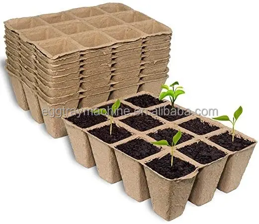 paper plant nursery M2.jpg