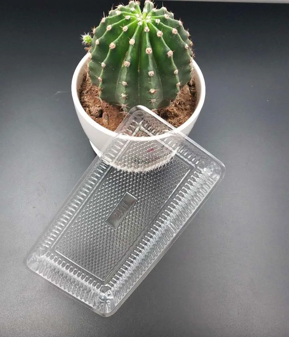 Wholesale Disposable Frozen Food Pet Pla Plastic Packing Tray For Meat