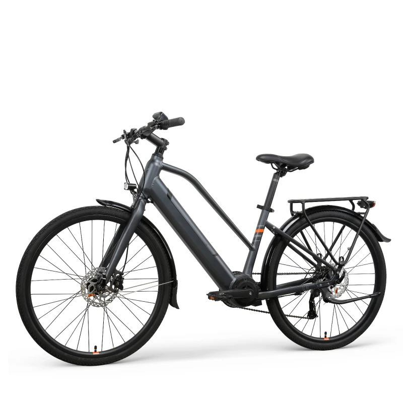  Индивидуальные 26 дюймов 36v 250w электрический велосипед для