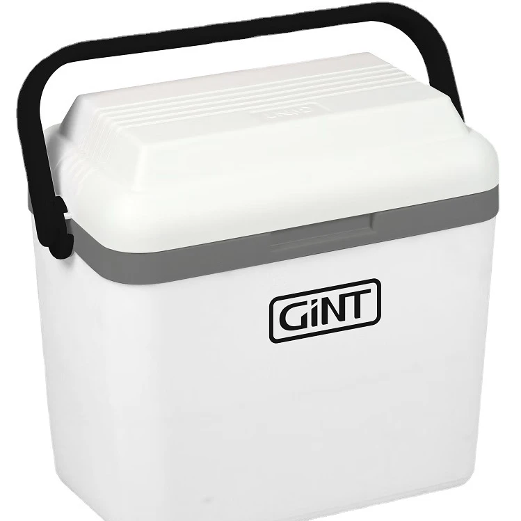 oem plastic hard mini cooler outdoor picnic car ice chest cooler box 12L Frozen Fishing camping wine bottle cooler